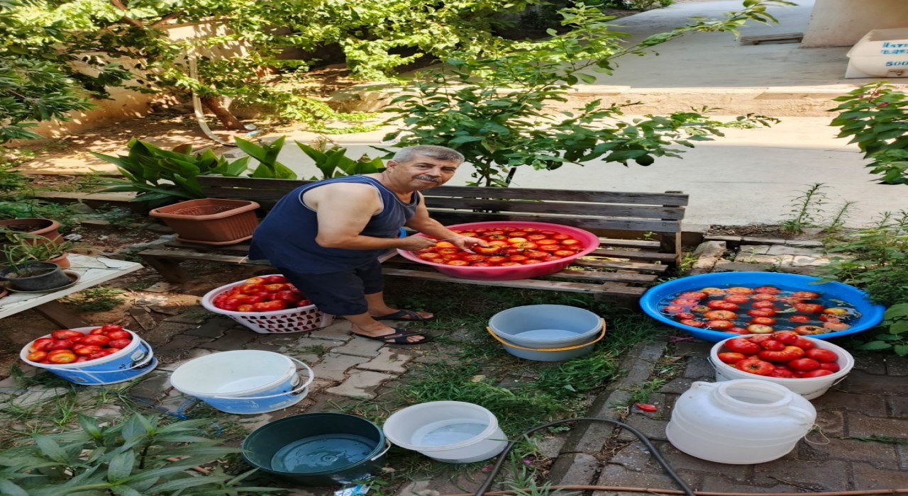 Aydında salça yapım telaşı başladı