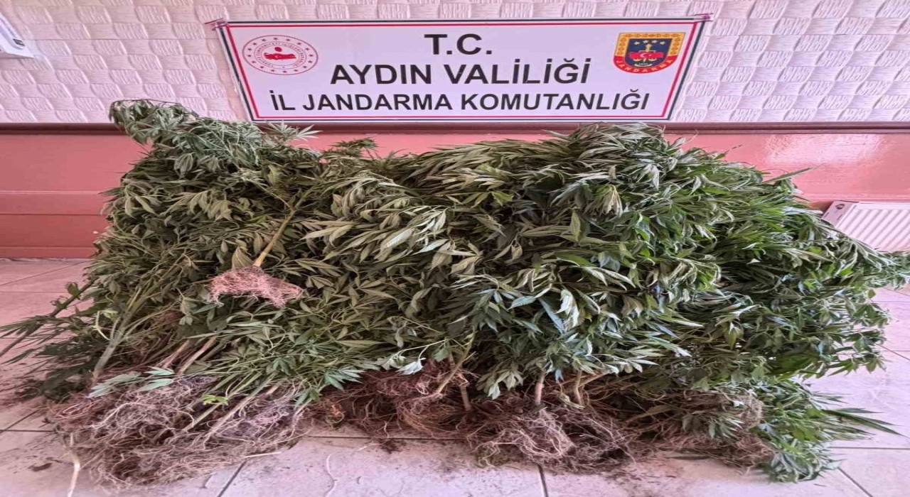 Aydında uyuşturucu tacirlerine operasyon