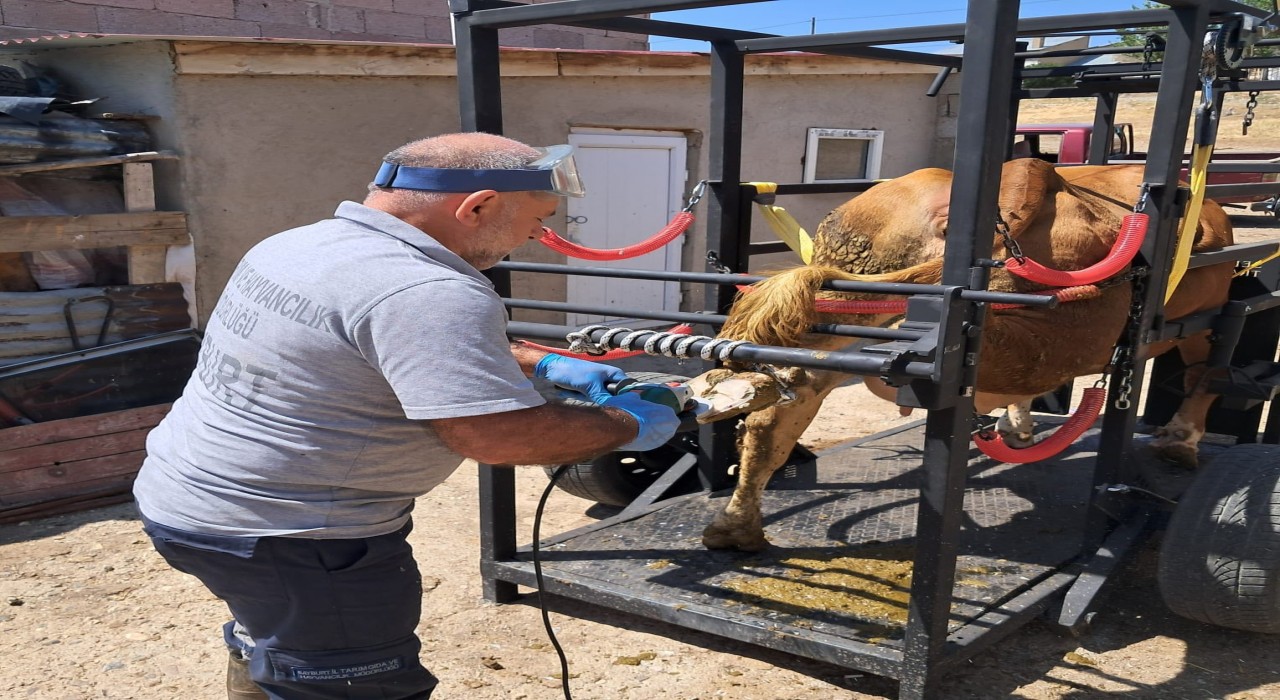 Aydıntepede Travay Projesi kapsamında ilk saha uygulaması yapıldı