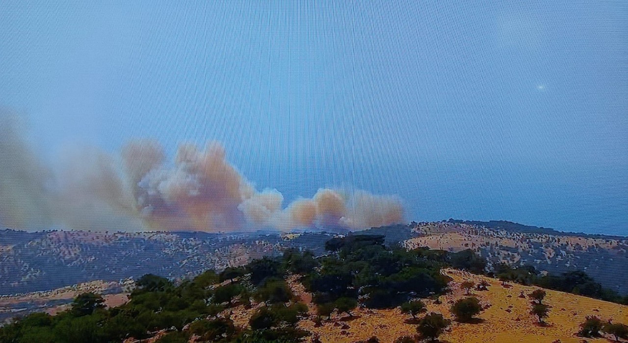 Ayvacıkta başlayan orman yanınına müdahale ediliyor