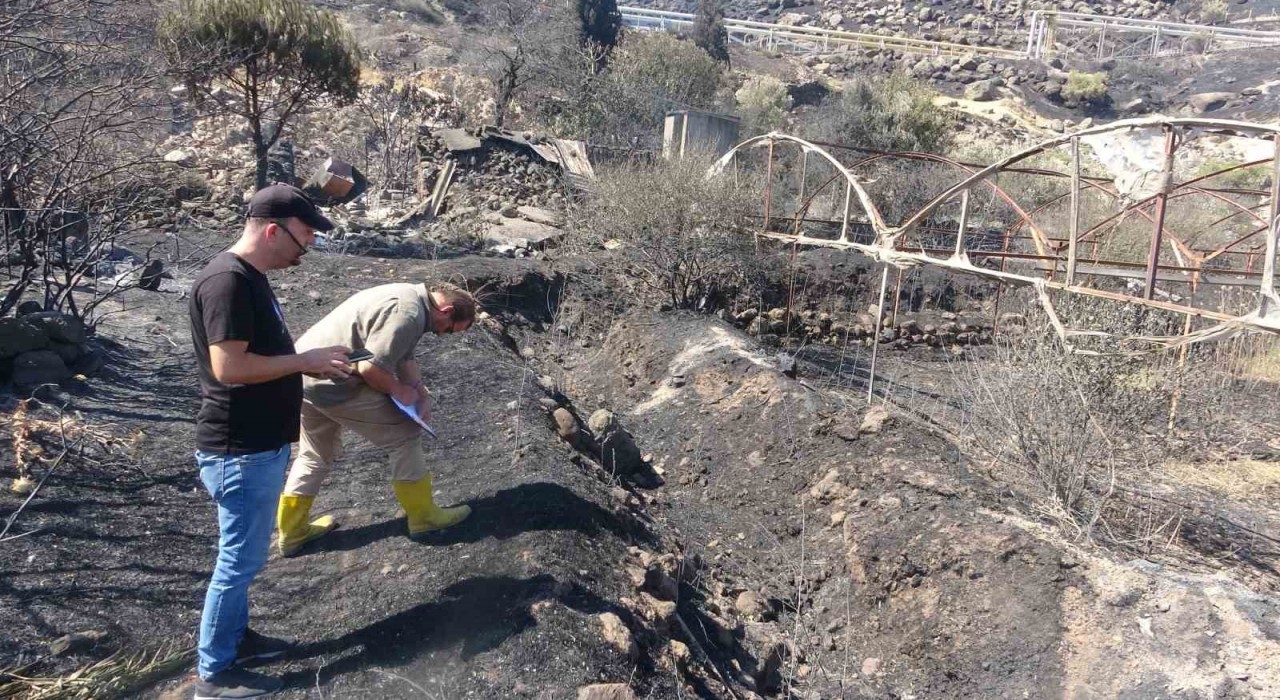 Ayvacıkta yangından etkilenen alanlarda hasar tespit çalışmaları başladı