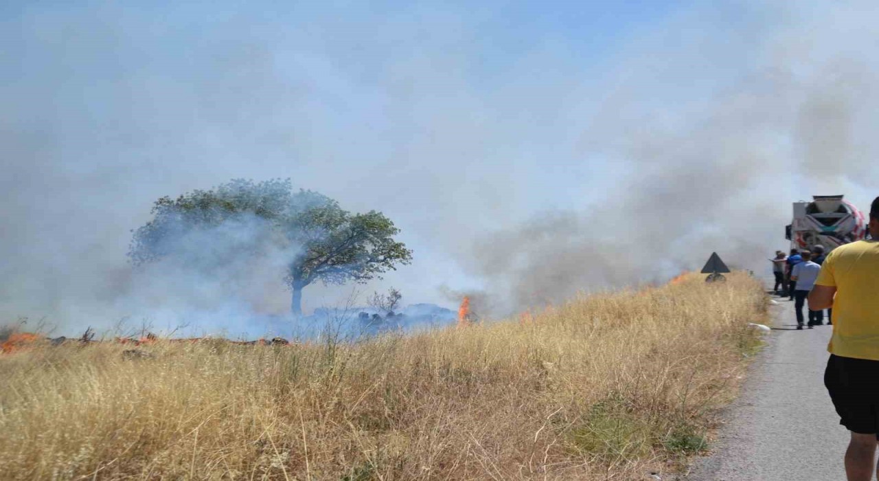 Ayvalıkta çıkan arazi yangını bölgedeki iş yerlerini tehdit etti