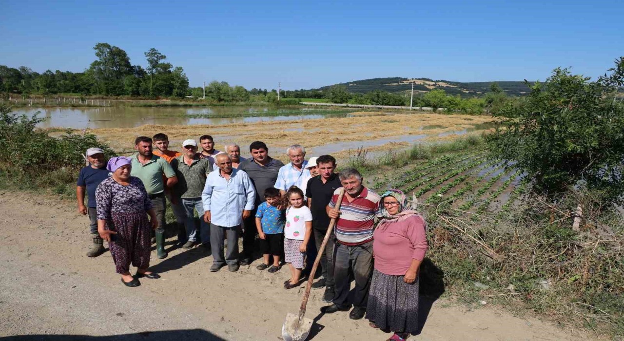 Bafrada su kanalı taştı, mahsuller sular altında: Üreticiler tepkili