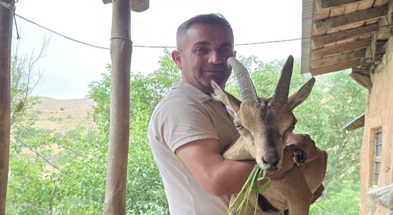 Bahçesarayda bitkin dağ keçisine şefkat eli
