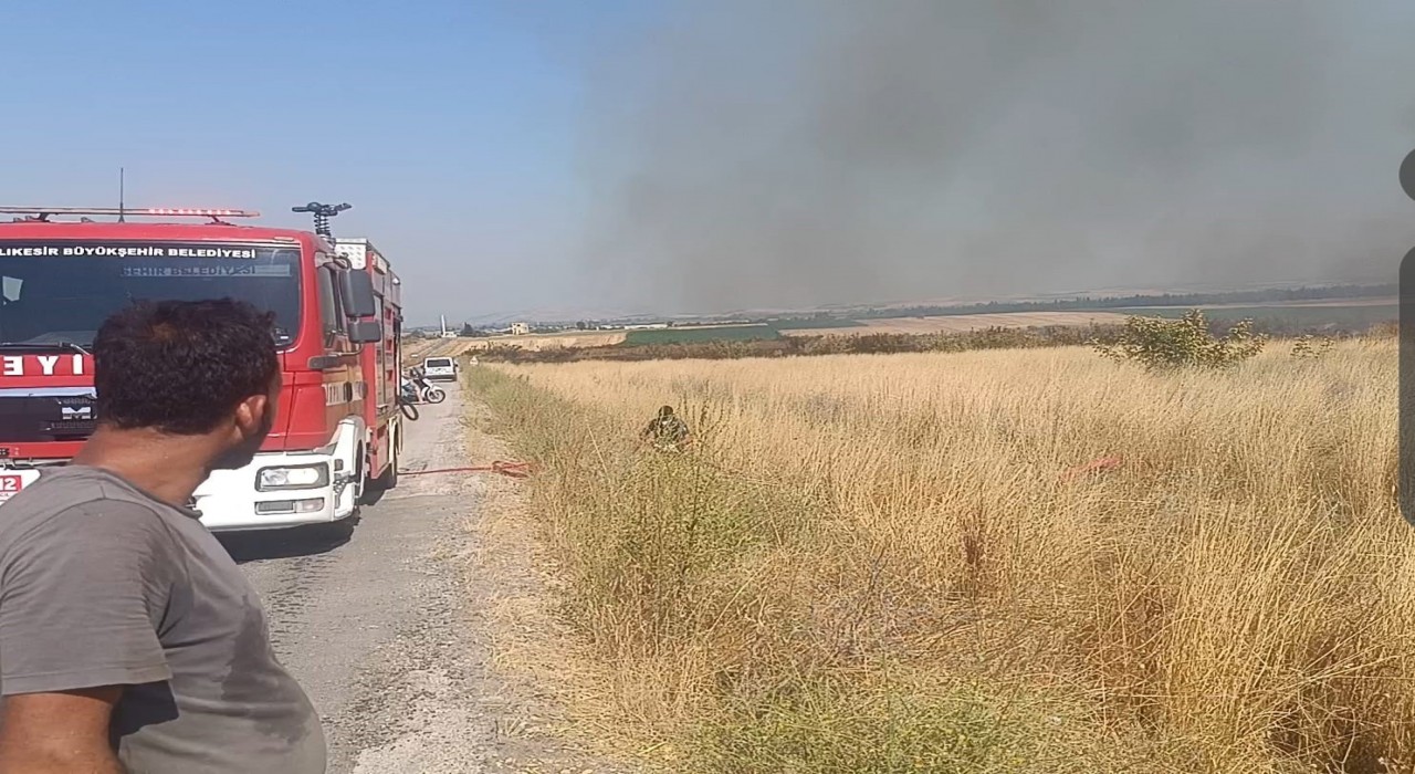 Balıkesirde mera yangını