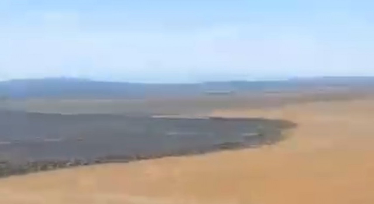 Balıkesirde tarla yangını sonrası üzücü manzara