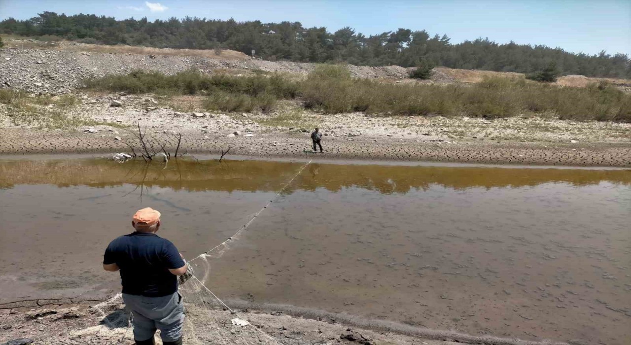 Balıklar ölmesin diye zamanla yarıştılar