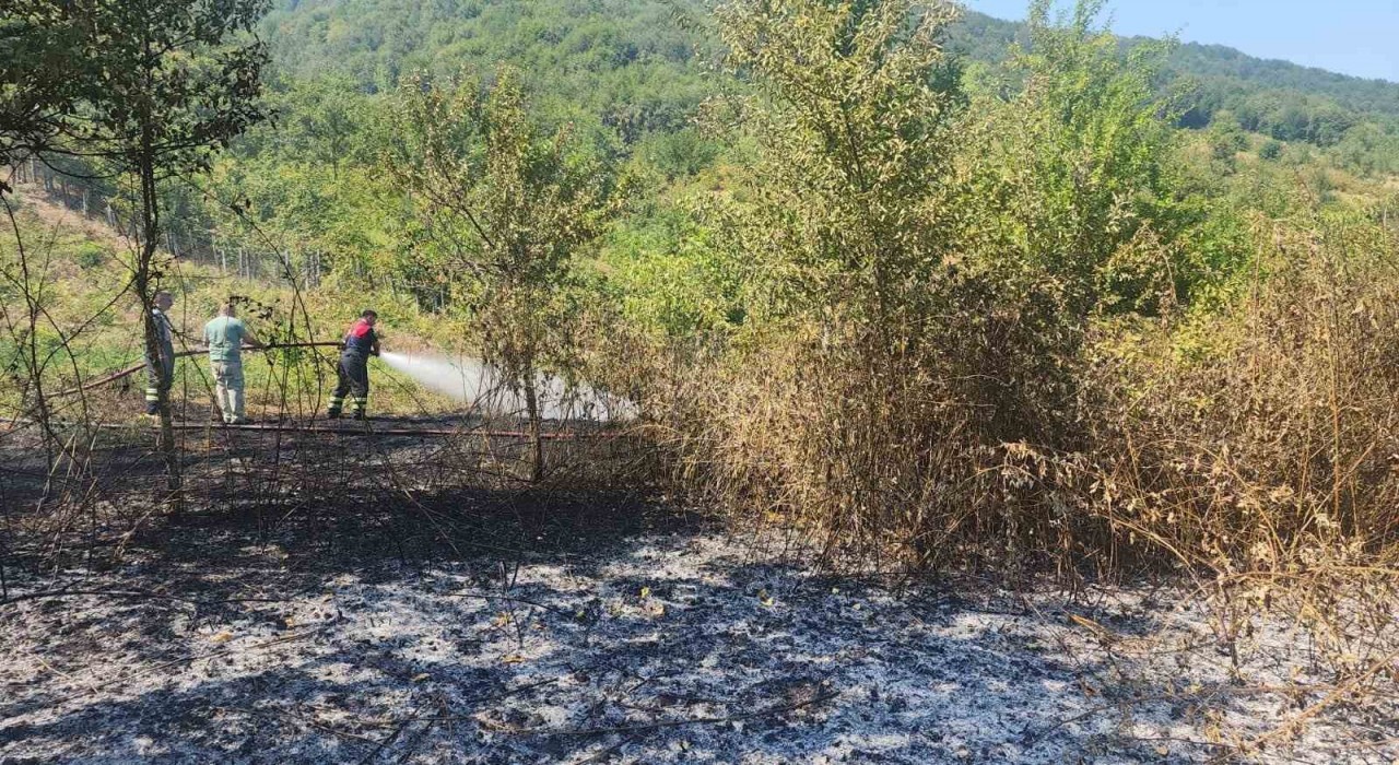 Bartında anız yangını ormana sıçramadan söndürüldü
