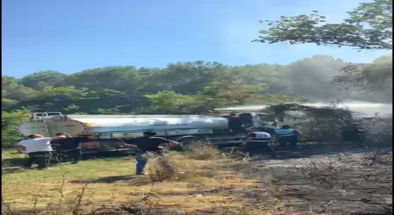 Bartında bahçe yangını ormana sıçramadan söndürüldü