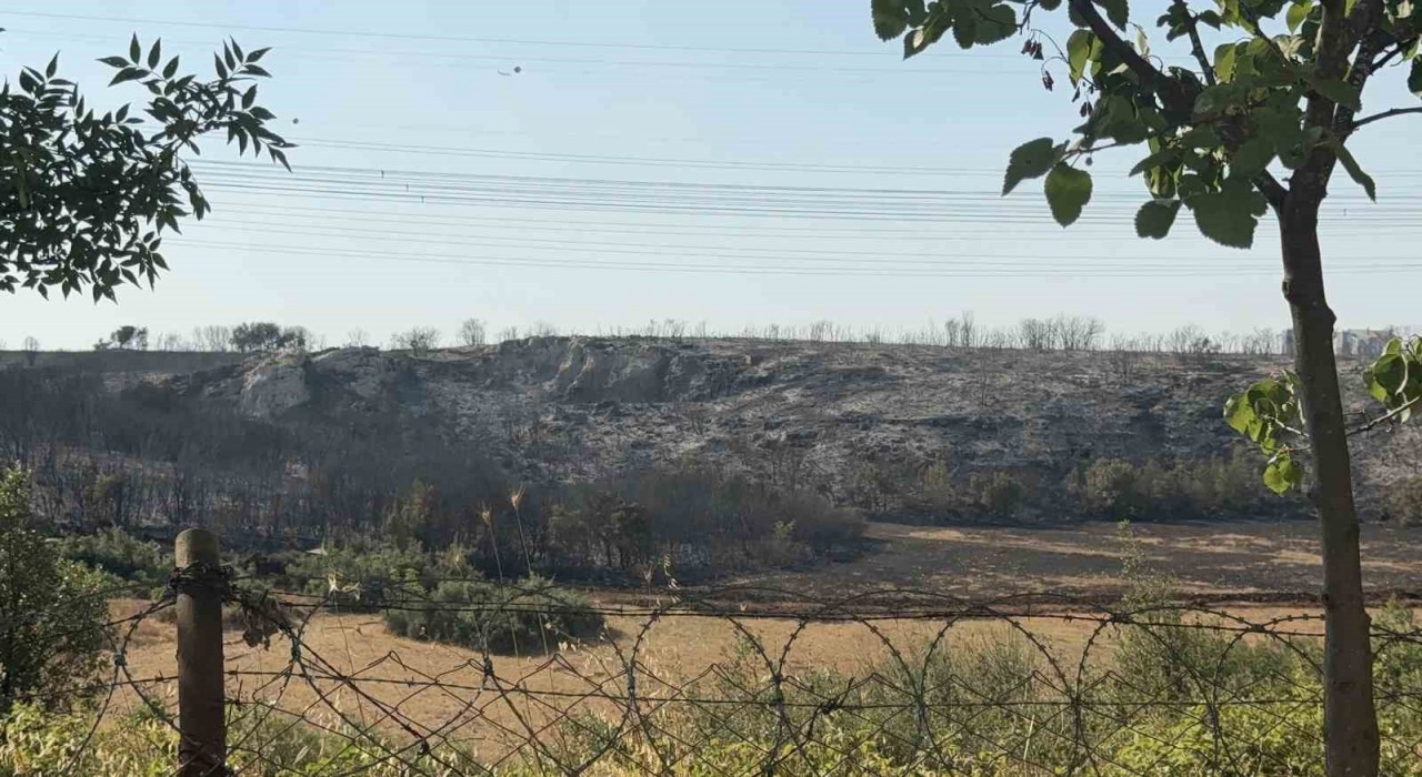 Başakşehirde çalılık alanda yangın