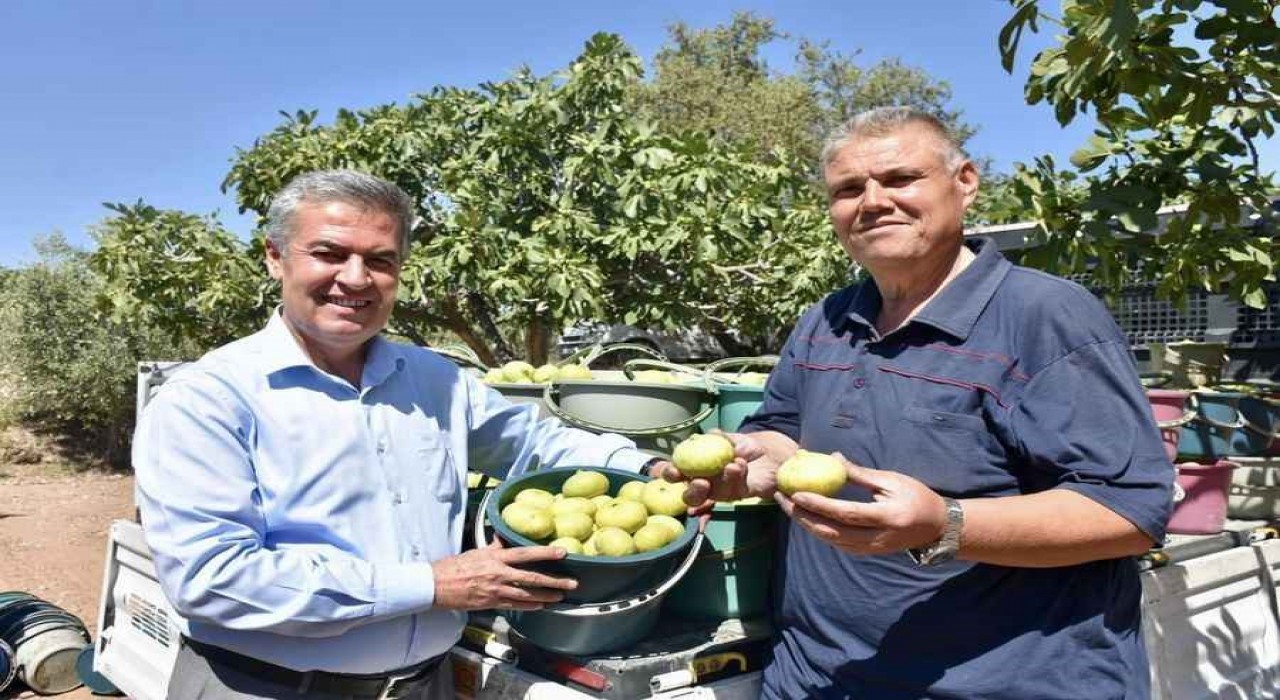 Başkan Eroldan Taze İncir Festivaline davet