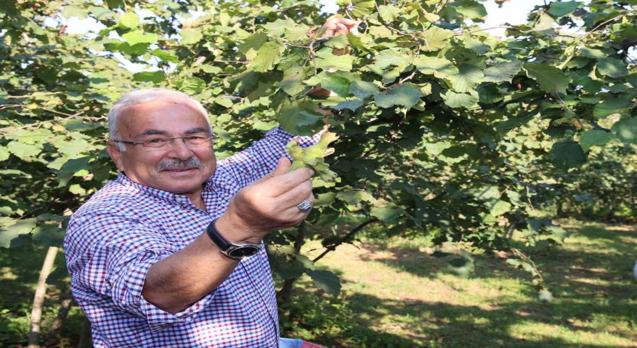 Başkan Gülerden Ferreroya karşı tarihi fındık mücadelesi: Bu bir milli duruştur