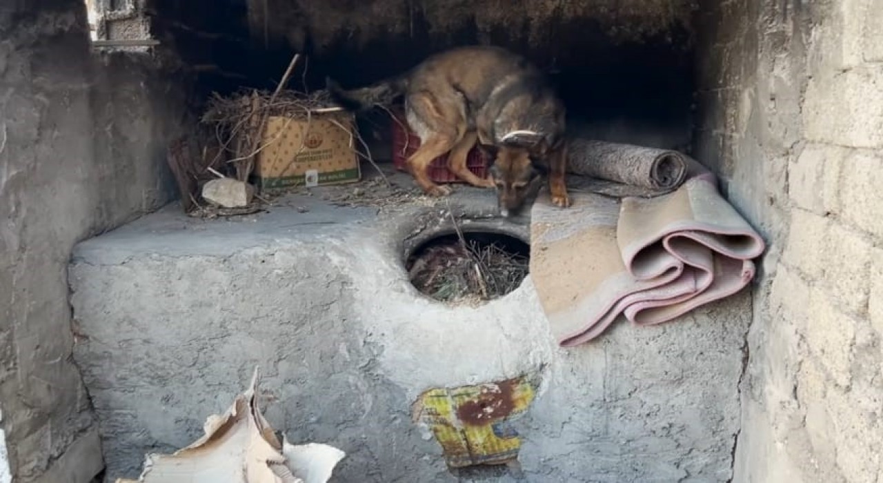 Batmanda ekmek tandırında uyuşturucu ele geçirildi