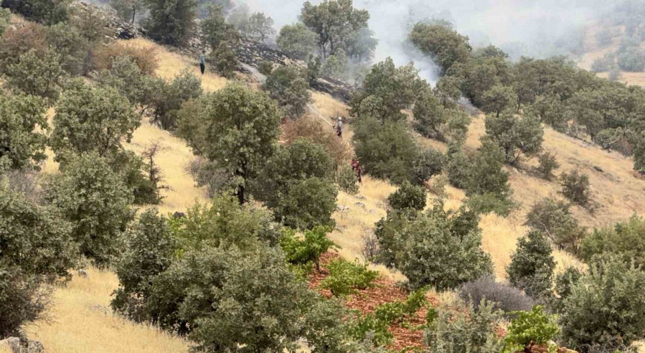 Batmanda örtü ve orman yangında bin dönüm alan zarar gördü