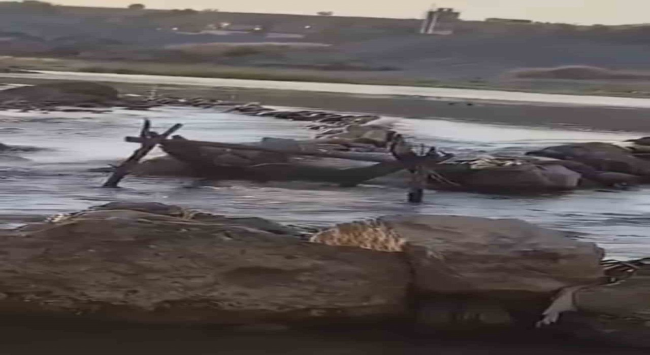 Batmanda su samuru balık ağına dadandı