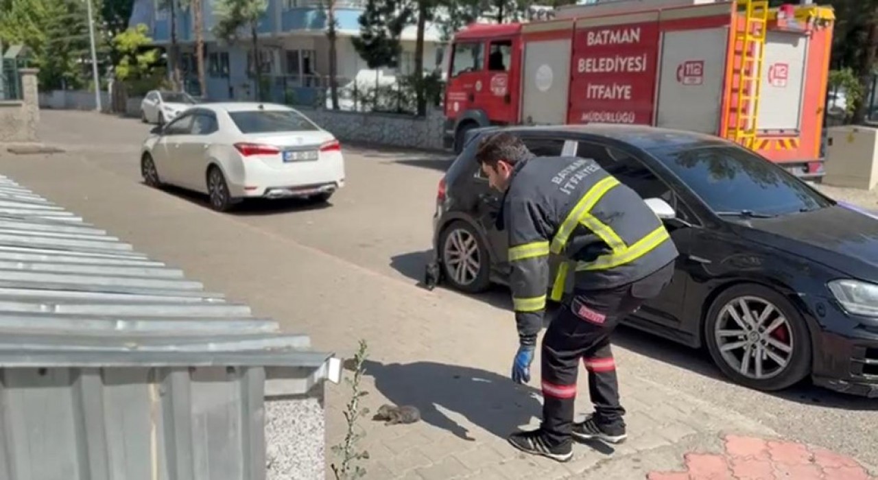 Batmanda tavan arasında sıkışan kedi kurtarıldı