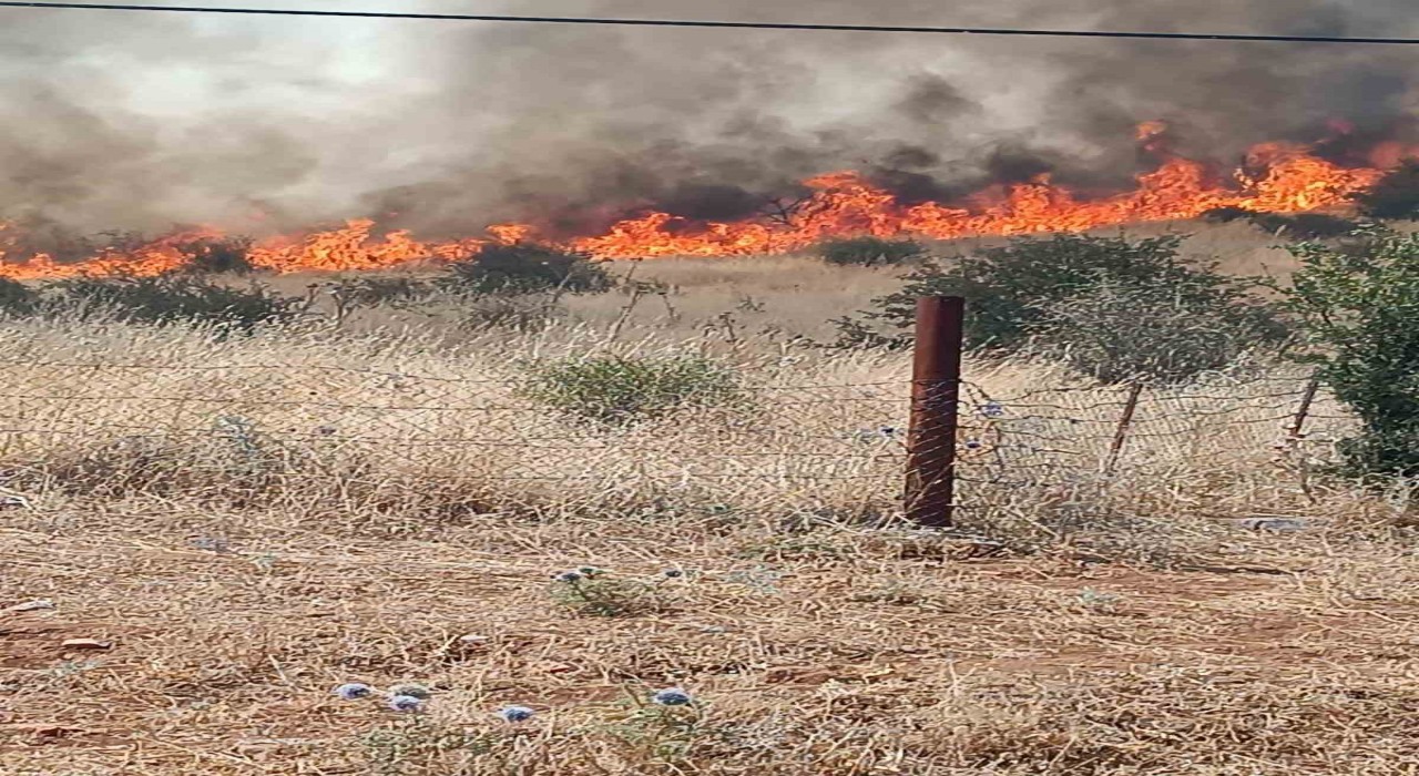 Batmandaki orman yangını kontrol altına alındı