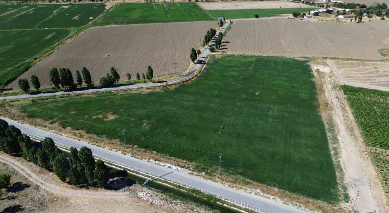 Battalgazide yerli üretimle yeşil alan seferberliği