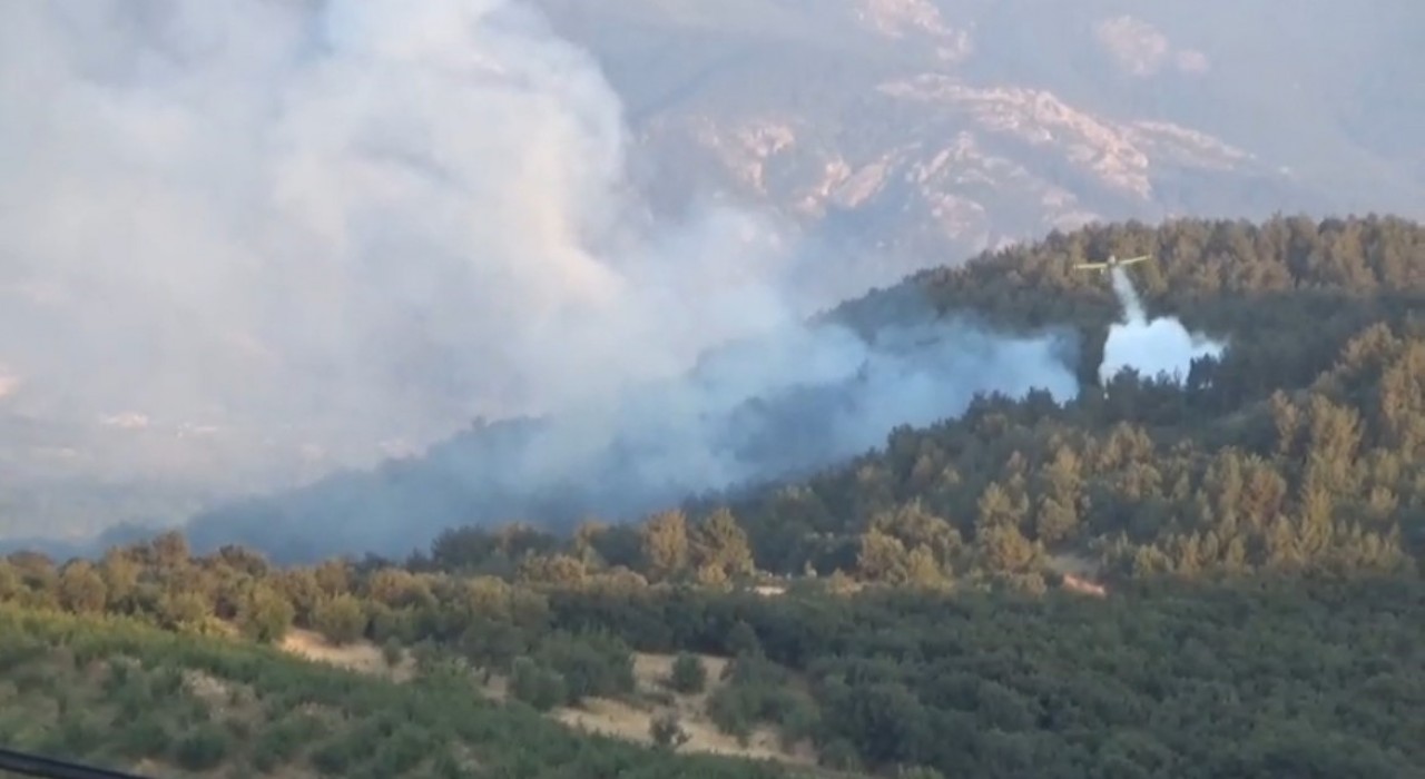 Bayramiçte orman yangını