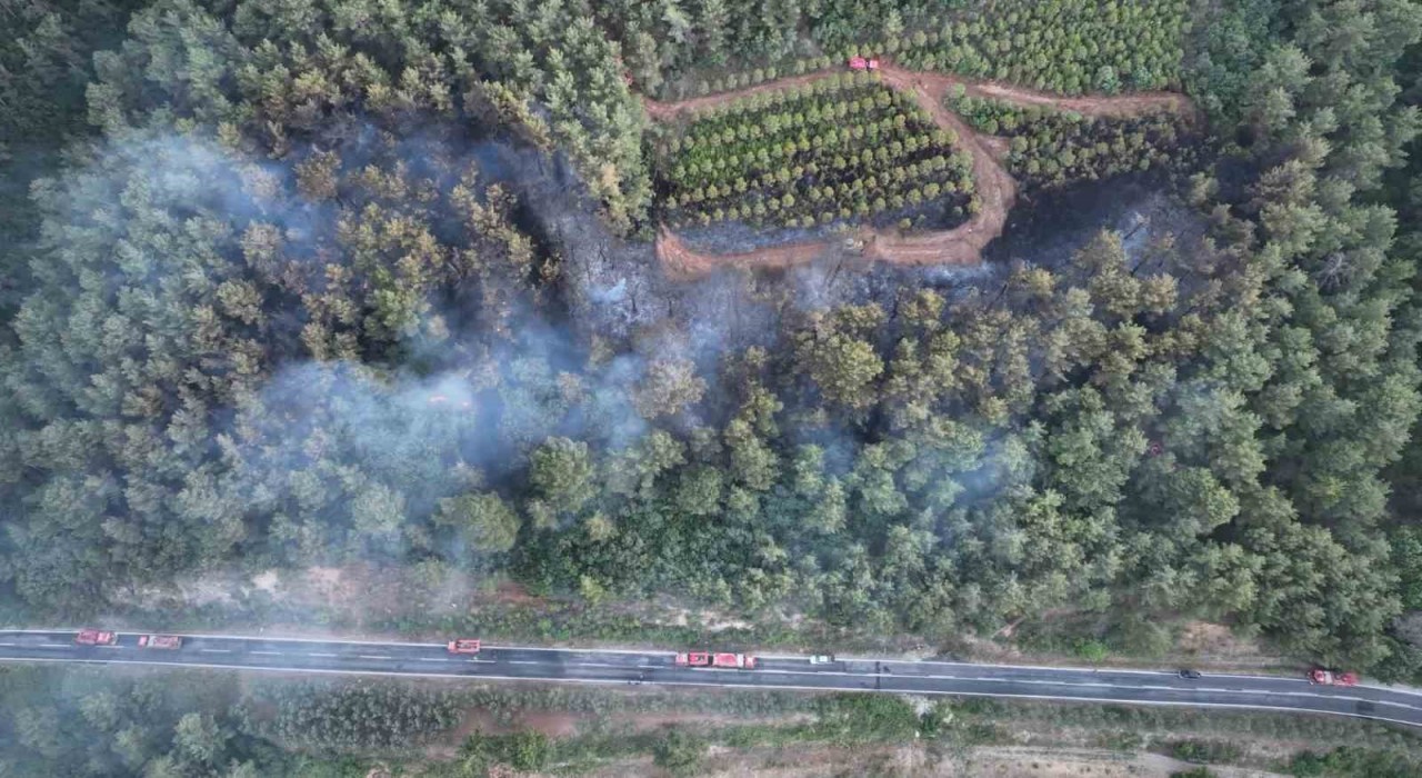 Bayramiçteki orman yangını kontrol altına alındı