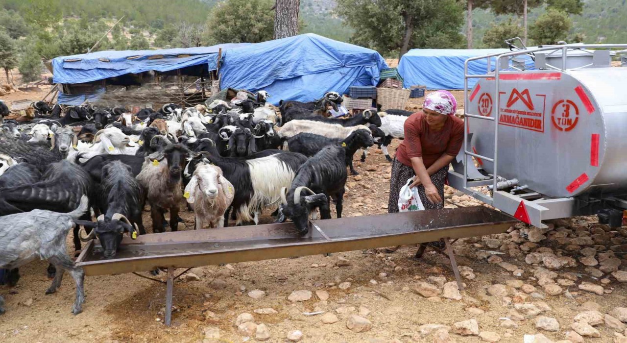 Belediyenin sulama tankeri desteği Mersindeki Yörüklerin yüzünü güldürdü