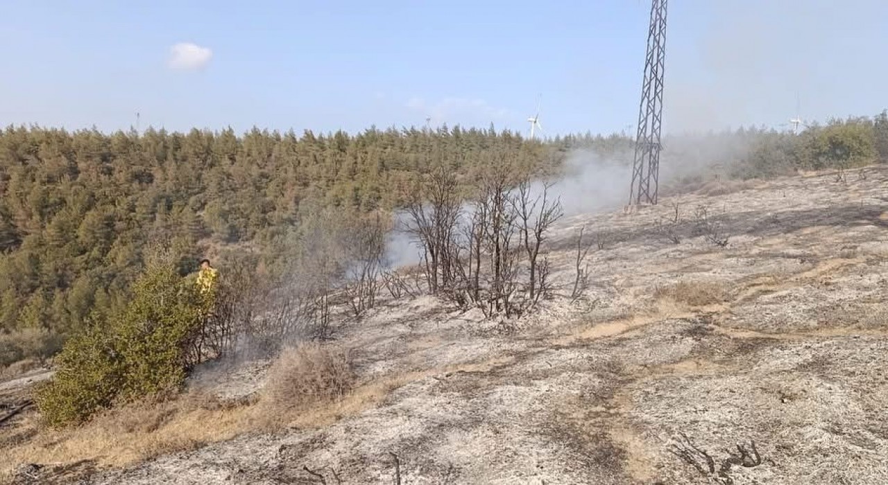 Belende ormanlık alanda yangın çıktı
