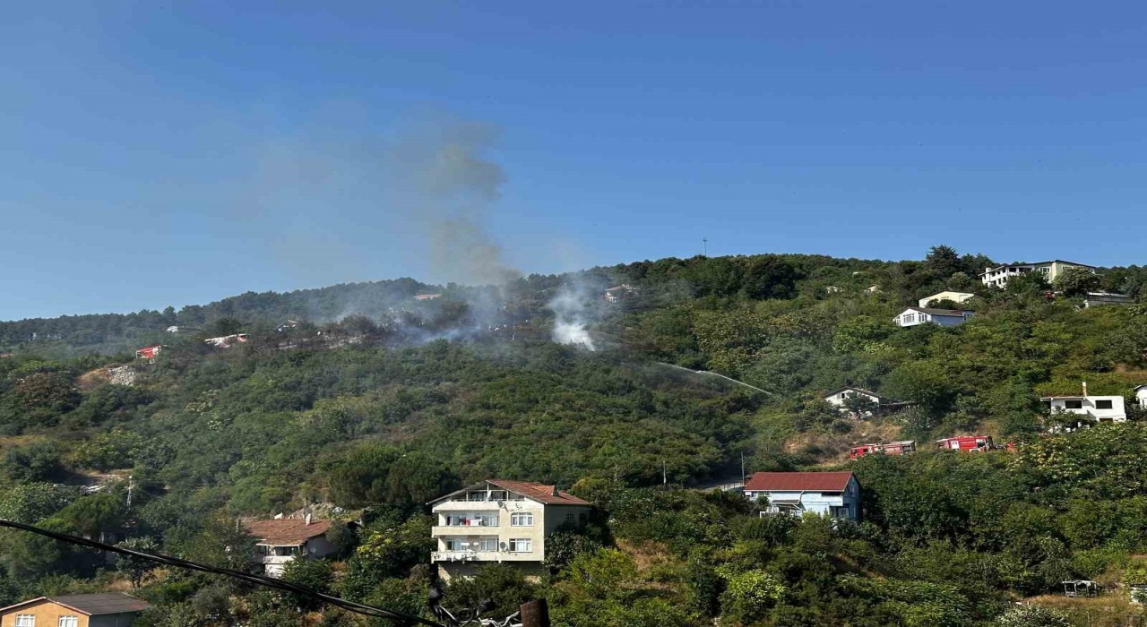 Beykozda ormanlık alanda çıkan yangın söndürüldü