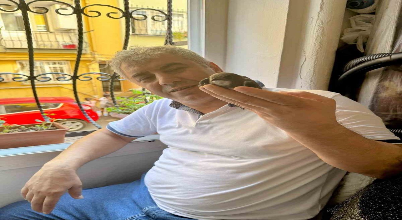 Beyoğlunda 6 yıl önce tedavisini yaptığı ebabil kuşu yeniden penceresine kondu