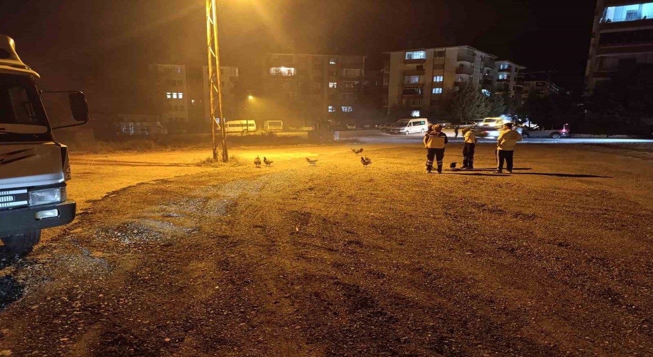 Beypazarında kümes yangını: 41 tavuk telef oldu