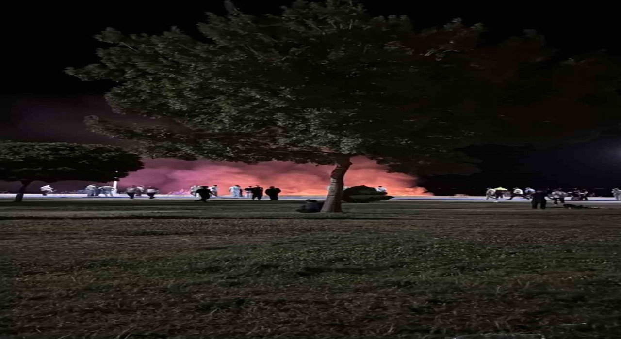 Beyşehir Gölü kenarında korkutan yangın