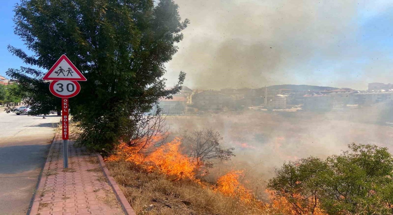 Beyşehirde alevler bahçelere ulaşmadan söndürüldü