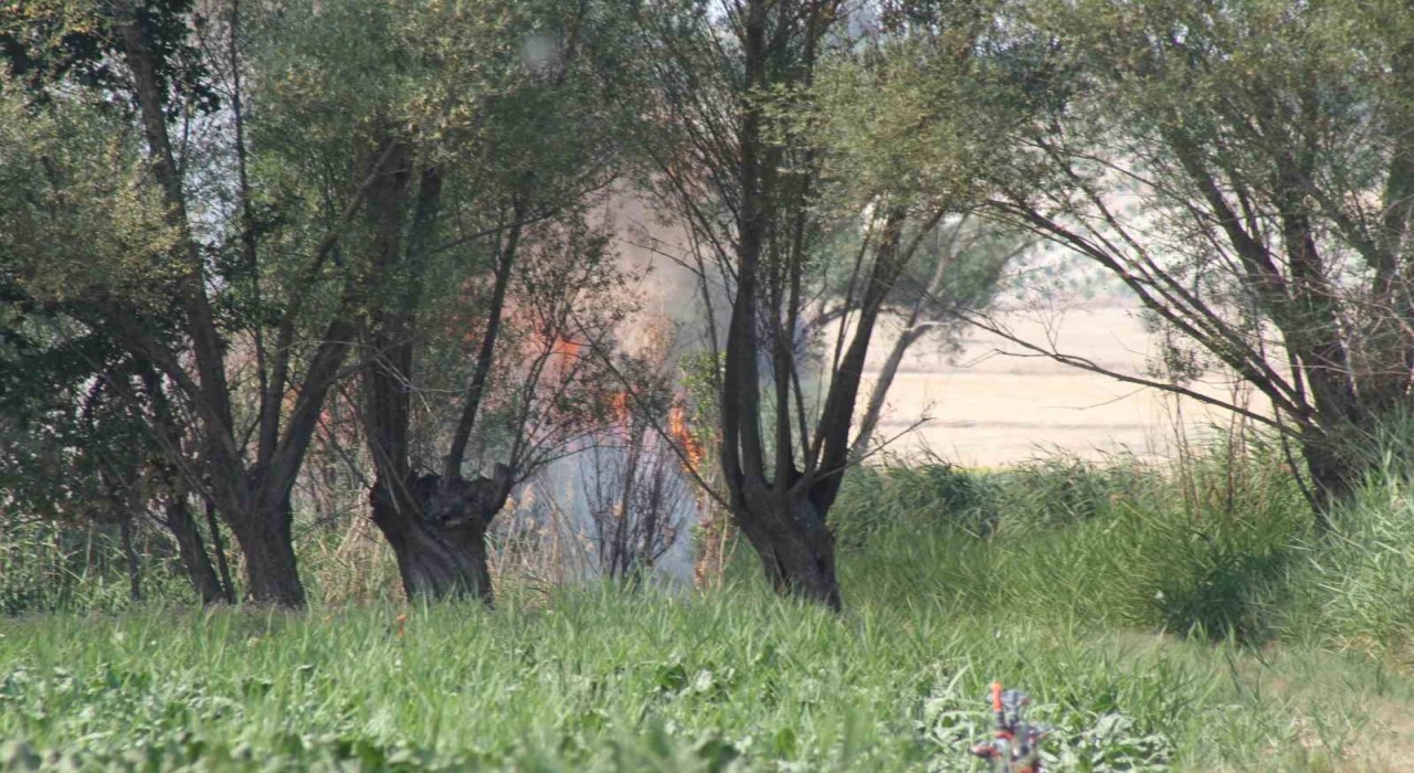 Beyşehirde biçerdöverde yangın paniği
