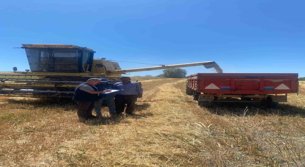 Beyşehirde hasat ve biçerdöver denetimleri