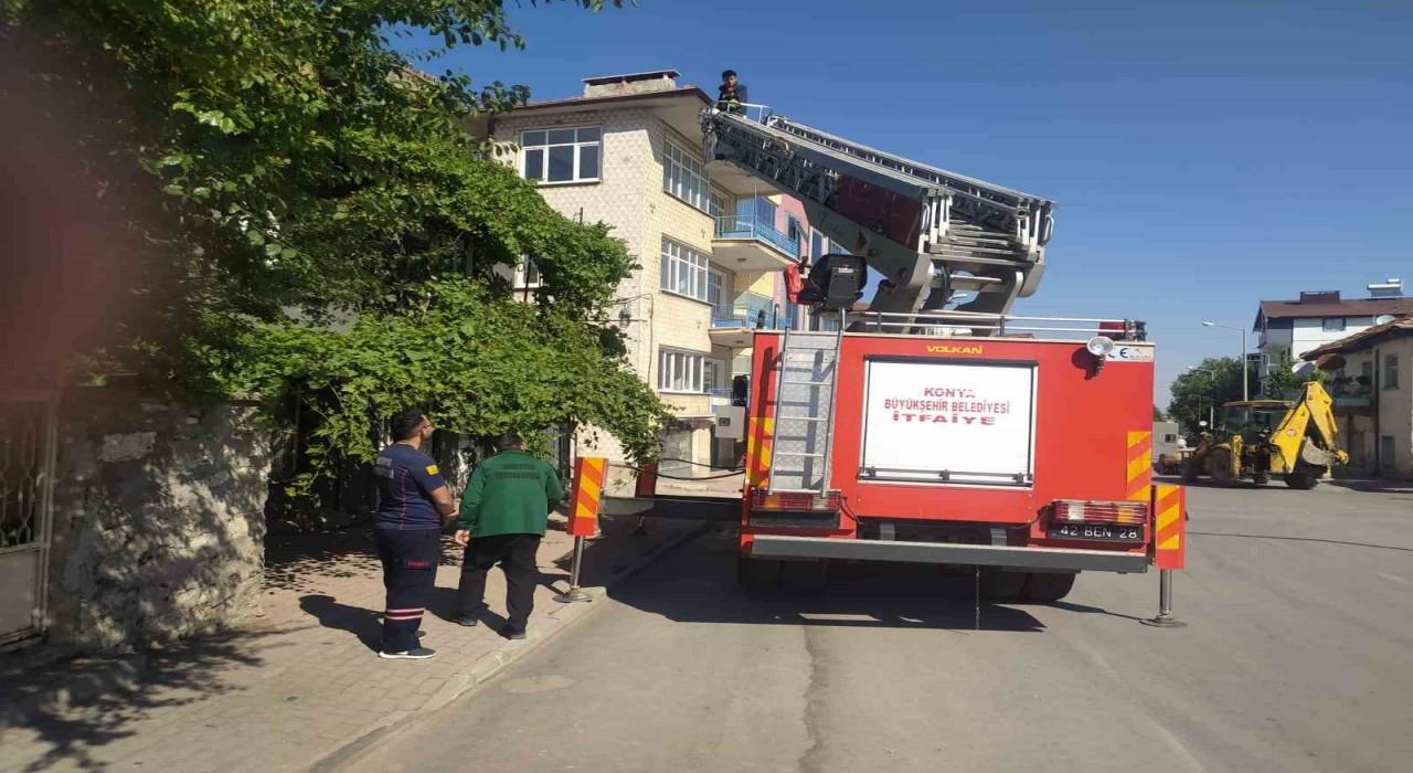 Beyşehirde itfaiyenin kedi kurtarma seferberliği