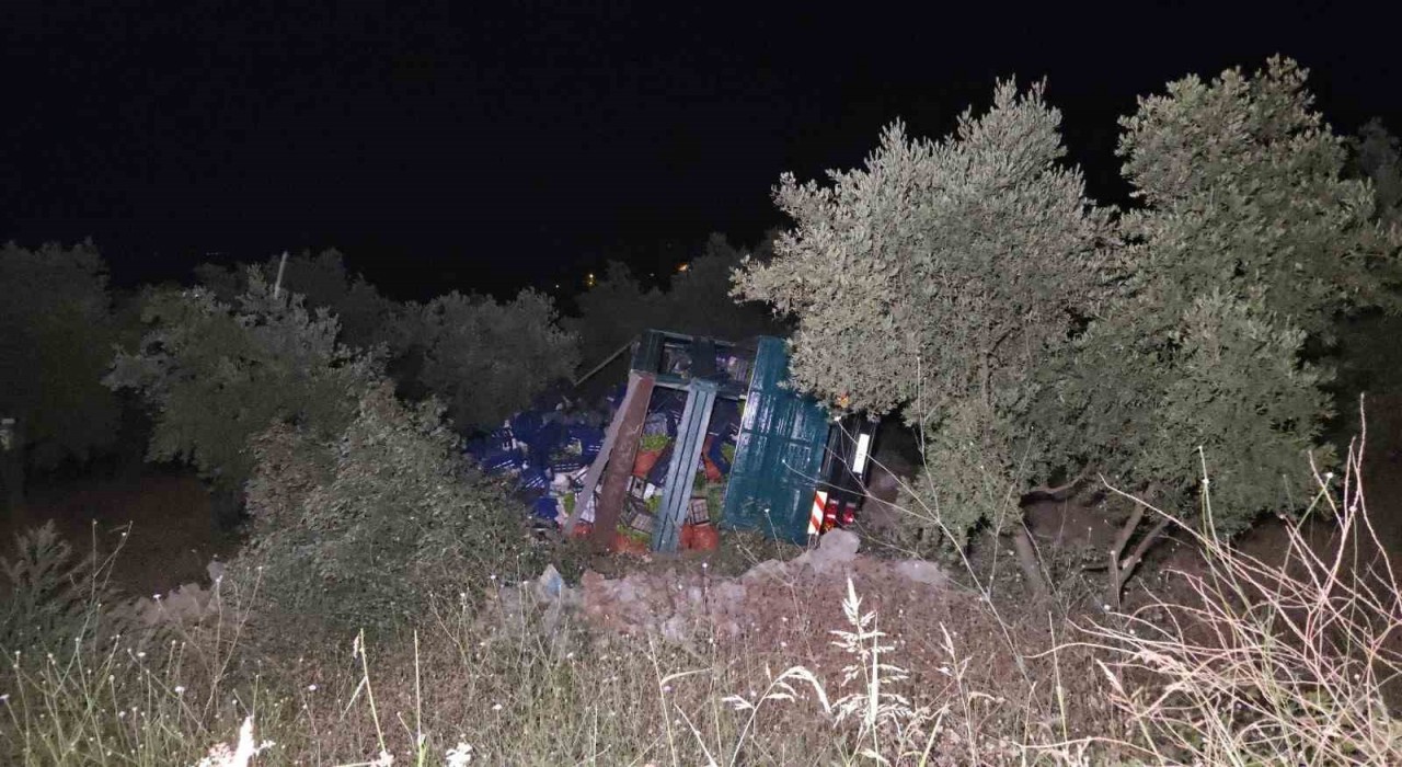 Biber yüklü kamyon zeytinliğe uçtu: 1 yaralı