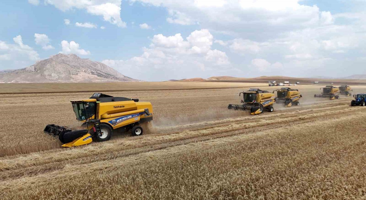Biçerdöverler aynı anda tarlalara girdi, binlerce dekar arazide hasat sürüyor