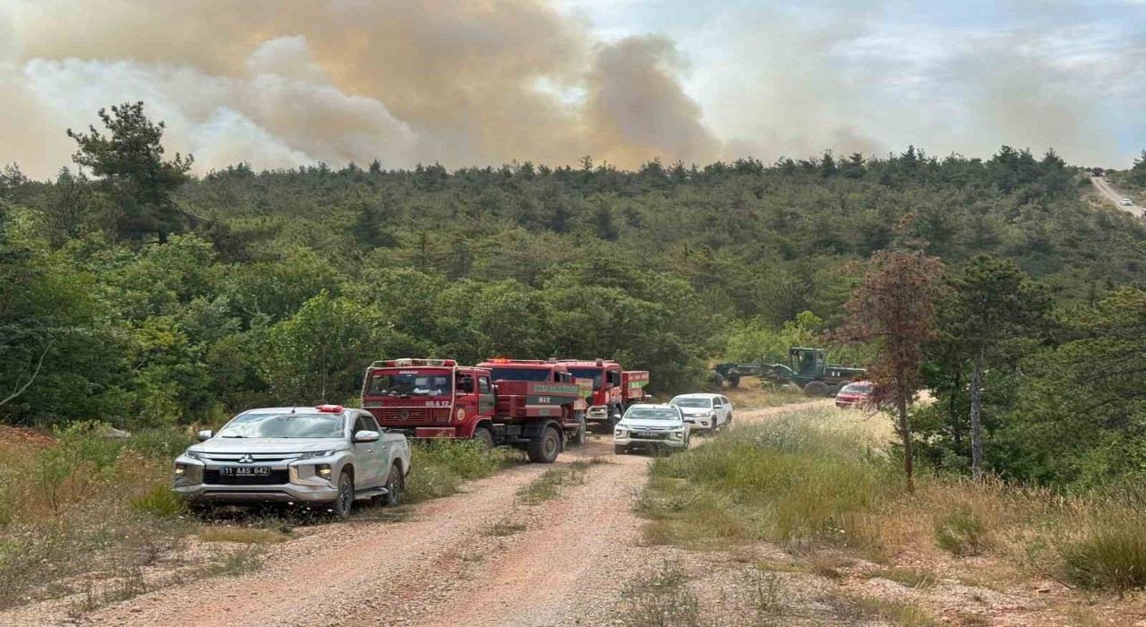 Bilecikte 2 köyün tahliye edildiği yangın kontrol altına alındı