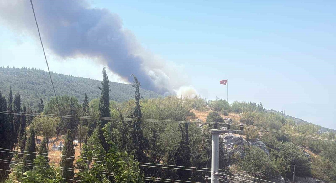 Bilecikte alevler tavuk çiftliklerine dayandı