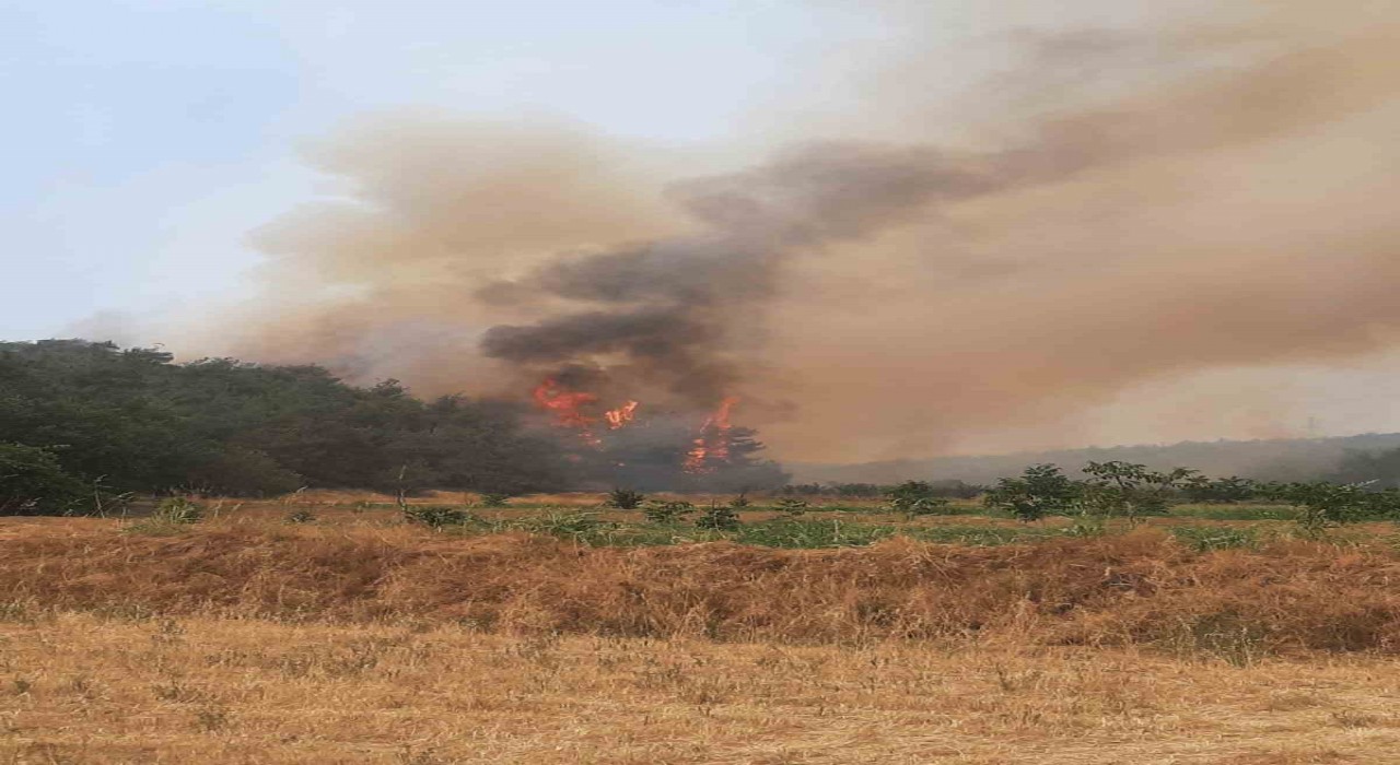 Bilecikte alevler yeniden yükselmeye başladı