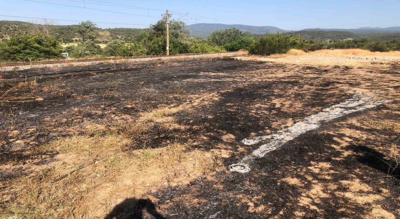 Bilecikte anız yangını büyümeden söndürüldü