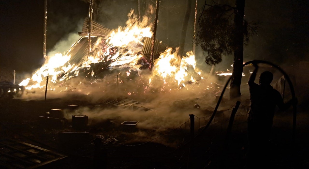 Bilecikte bir orman yangını daha başladı