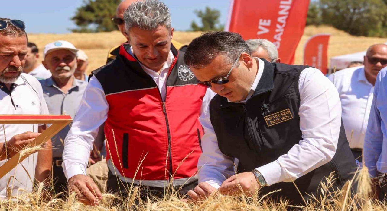 Bilecikte bu yıl 75 bin 104 ton buğday hasadı yapılacak