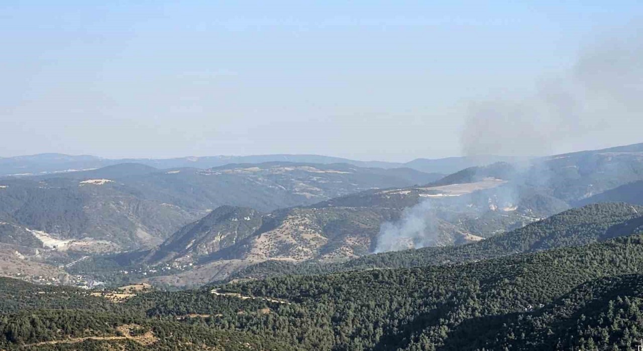 Bilecikte çıkan orman yangını kontrol altına alındı