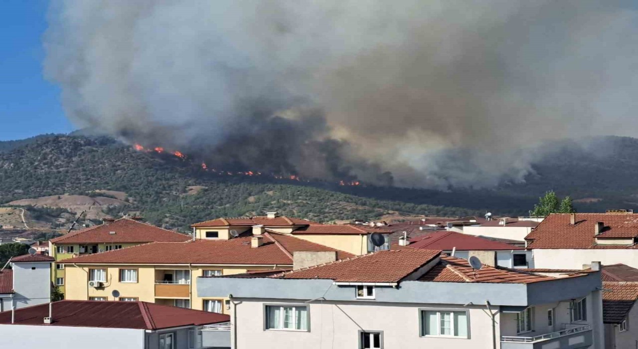Bilecikte kısmen kontrol altına alınan yangın yeniden alevlendi