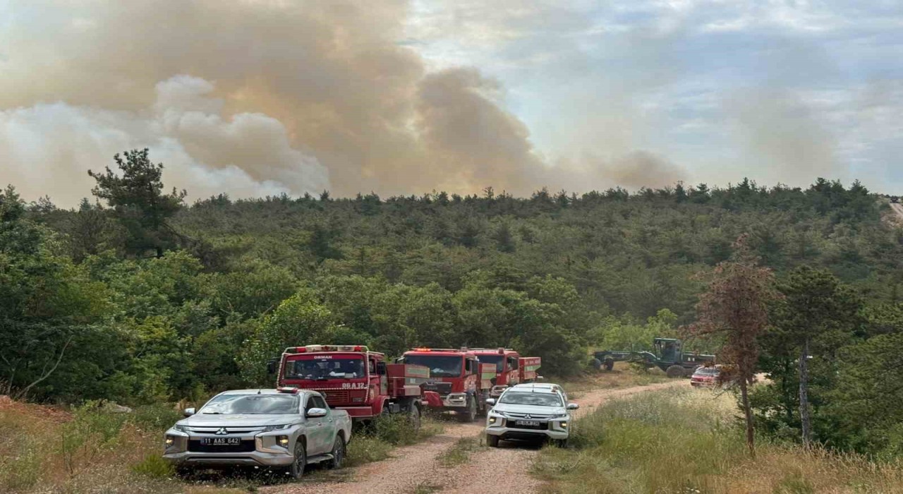 Bilecikte orman yangını başladı