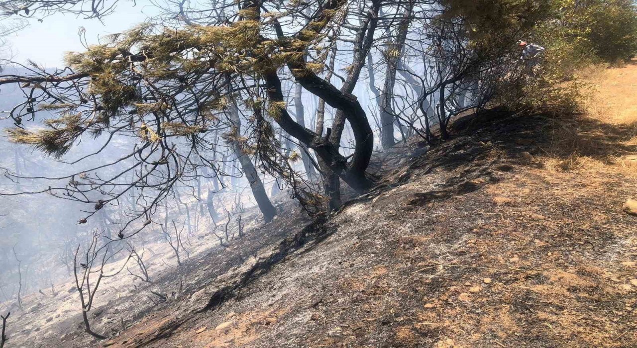 Bilecikte orman yangını ekipler tarafından söndürüldü