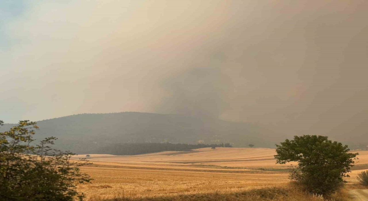 Bilecikte orman yangını kısmen kontrol alındı
