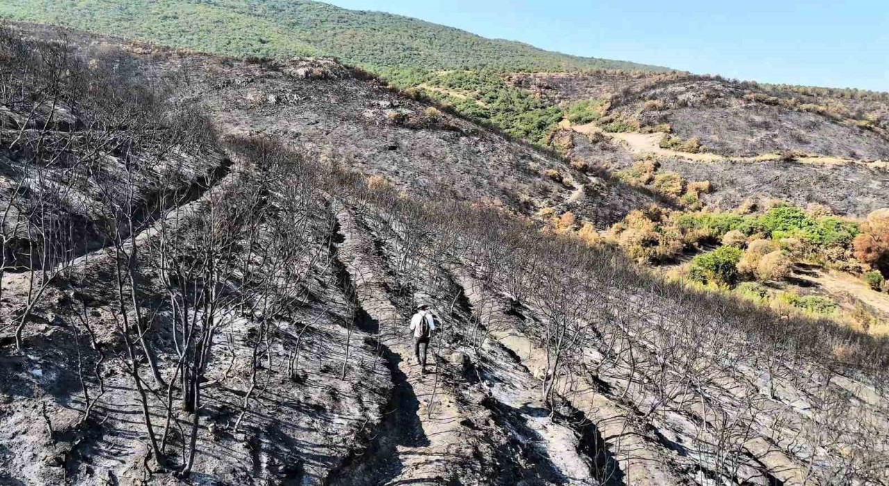 Bilecikte orman yangını sonrası yürek burkan manzara havadan görüntülendi