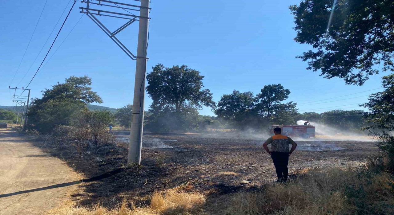 Bilecikte ormanlık alana sıçrayan yangına müdahale ediliyor