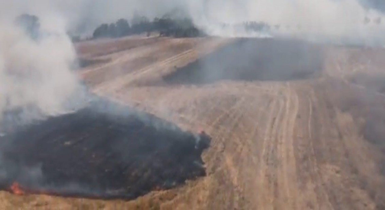 Bilecikte tarım arazisinde çıkan yangın söndürüldü